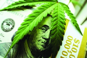 Cannabis, The State of Cannabis
