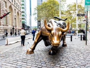 Bull Market, photo of charging metal bull in the NYC lower financial district